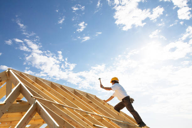 Best Roof Moss and Algae Removal  in Eastpoint, FL